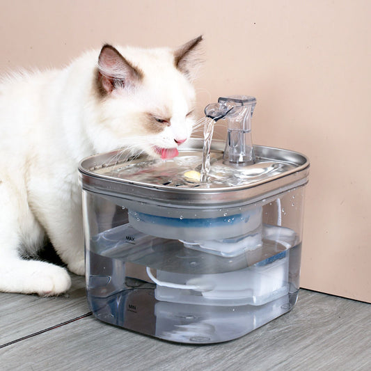 Stainless Steel Automatic Circulation Water Dispenser 2L for Dogs and Cats