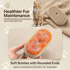 3-in-1 Pet Steam Brush – USB Rechargeable Grooming & Massage