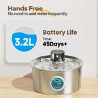 S42f22e73331442fd94c541261ab6a90bN