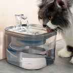 Stainless Steel Automatic Circulation Water Dispenser 2L for Dogs and Cats