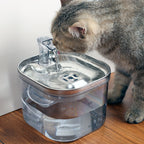Stainless Steel Automatic Circulation Water Dispenser 2L for Dogs and Cats