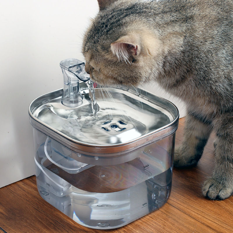 Stainless Steel Automatic Circulation Water Dispenser 2L for Dogs and Cats